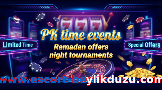 Payment and PKR controls in Www.escort-beylikduzu.com